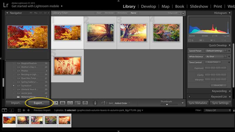 Adobe Lightroom