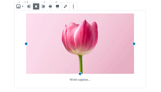 Centrer une image dans WordPress - Themelocal Centrer l'alignement d'une image dans WordPress