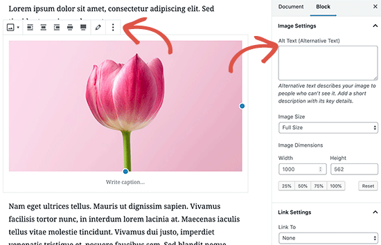 Options d'image dans l'éditeur de publication WordPress - Themelocal Options d'image dans l'éditeur de publication WordPress