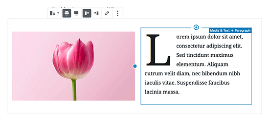 Paramètres d'image et de bloc de texte - Themelocal Paramètres d'image et de bloc de texte