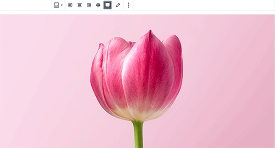 Créer une image pleine largeur dans WordPress - Themelocal Faire une image pleine largeur dans WordPress