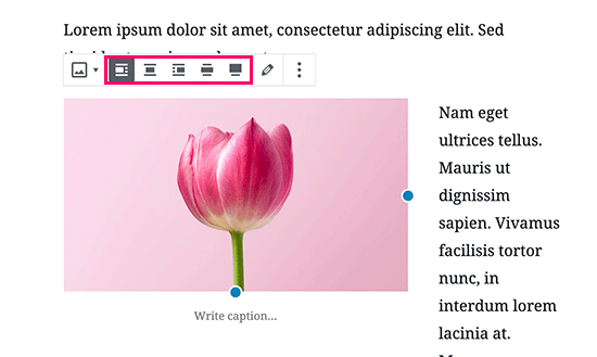 Boutons d'alignement d'image dans l'éditeur de publication WordPress - Themelocal Boutons d'alignement d'image dans l'éditeur de publication WordPress