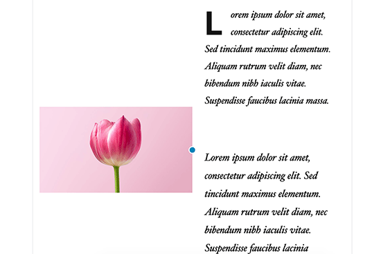 La taille de l'image s'ajuste pour s'aligner verticalement - Themelocal La taille de l'image s'ajuste pour s'aligner verticalement