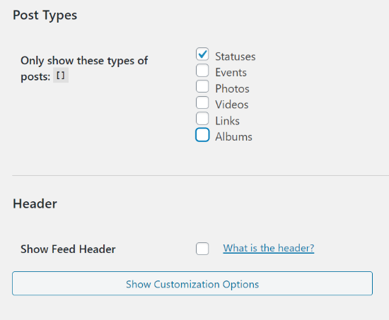 Option de personnalisation du type de publication - Themelocal Option de personnalisation du type de publication
