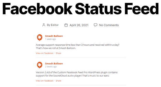 Exemple de flux de statut Facebook personnalisé - Themelocal Exemple de flux de statut Facebook personnalisé