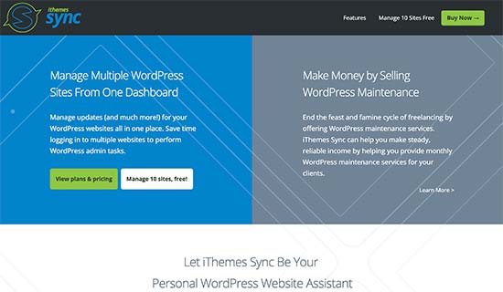 iThemes Sync - Themelocal Synchronisation iThemes