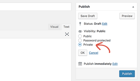 Option de publication privée dans l'écran d'édition de publication WordPress - Themelocal Option de publication privée dans l'écran d'édition de publication de WordPress