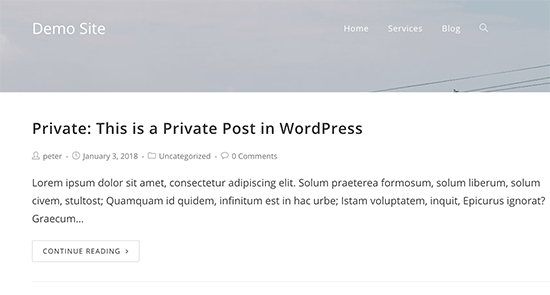 Aperçu de la publication privée dans WordPress - Themelocal Aperçu de la publication privée dans WordPress