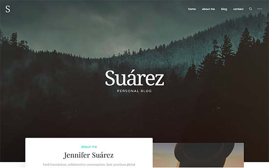 Suarez - WPDébutant Suárez