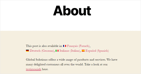 La page À propos de notre site de démonstration, avec les options de langue de traduction affichées - Themelocal La page À propos de notre site de démonstration, avec les options de langue de traduction affichées