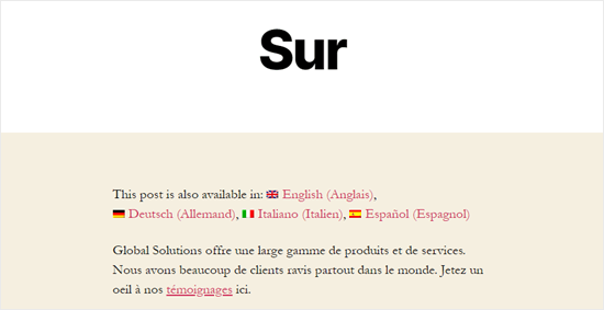 La page À propos, traduite en français - Themelocal La page À propos, traduite en français