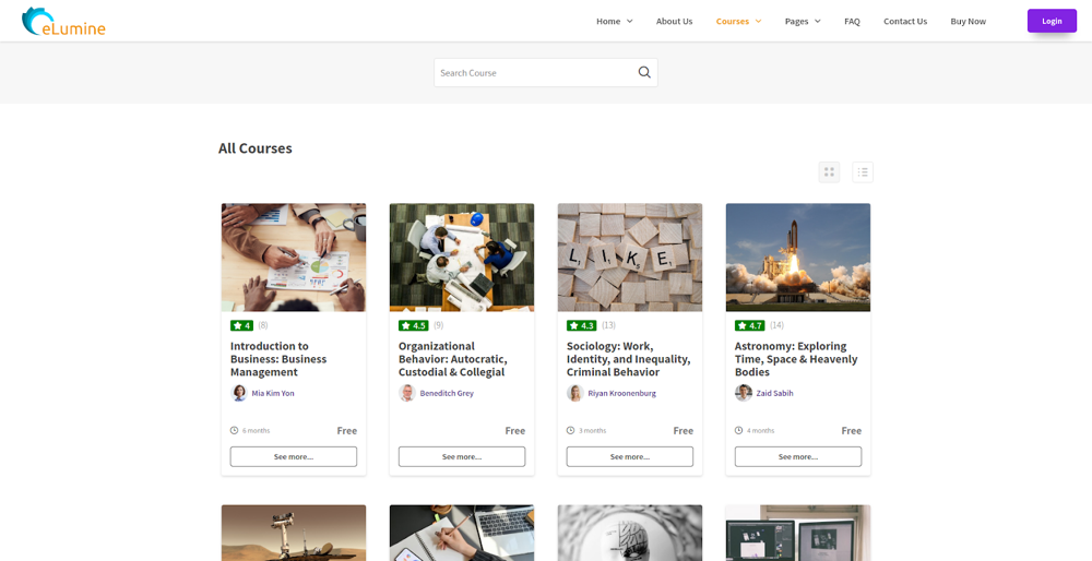 Thème WordPress eLumine