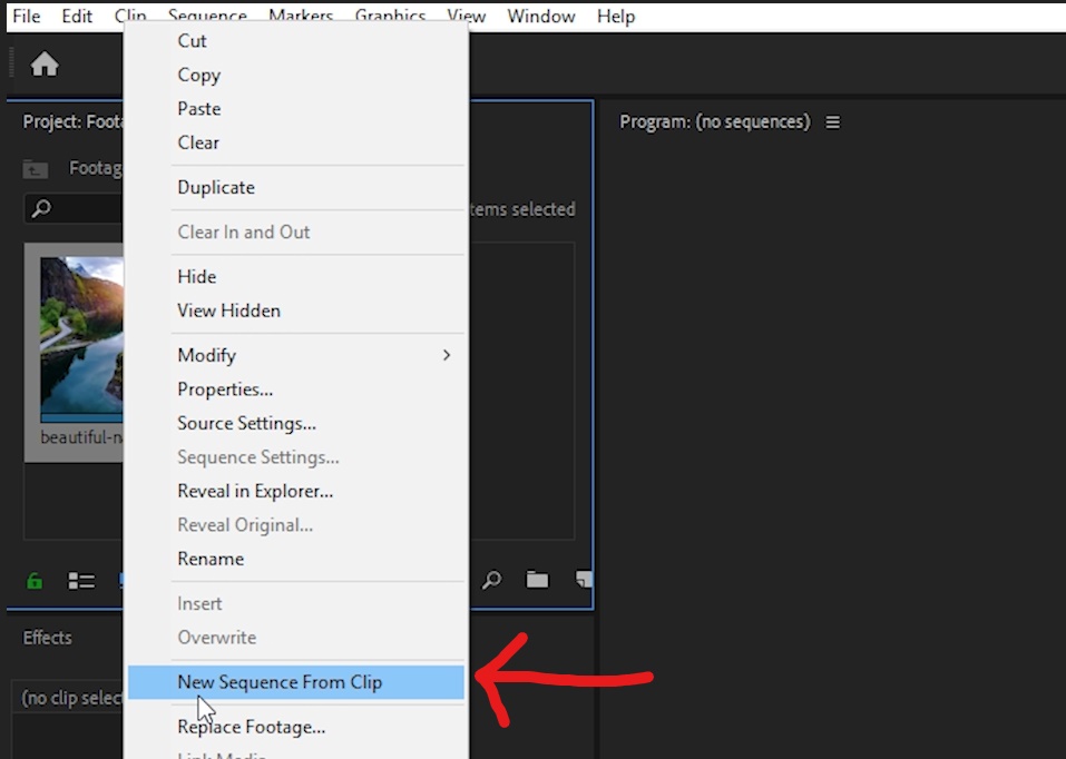 Importation de séquences dans Adobe Premiere Pro