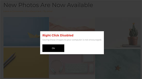 Clic droit désactivé dans WordPress - Themelocal Clic droit désactivé sur WordPress