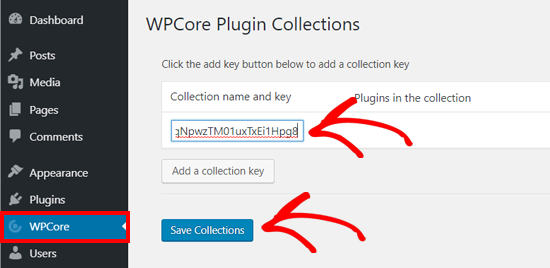 Enregistrer la clé de collection du plug-in WPCore sur WordPress - Themelocal Enregistrer la clé de collection du plugin WPCore sur WordPress