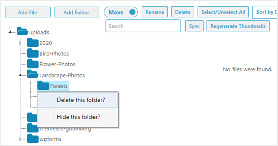 Supprimer un dossier à l'aide du plugin Media Library Folders - Themelocal Suppression d'un dossier à l'aide du plugin Media Library Folders