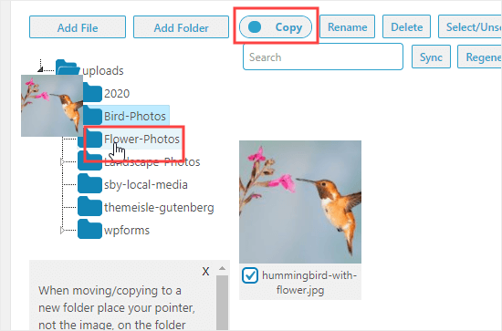 Copier une photo pour l'avoir dans deux dossiers - Themelocal Copier une photo pour l'avoir dans deux dossiers