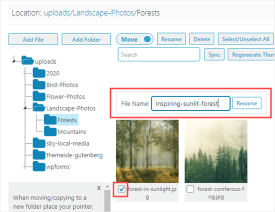 Modification du nom de fichier d'une image à l'aide du plugin Media Library Folders - Themelocal Modification du nom de fichier d'une image à l'aide du plugin Media Library Folders