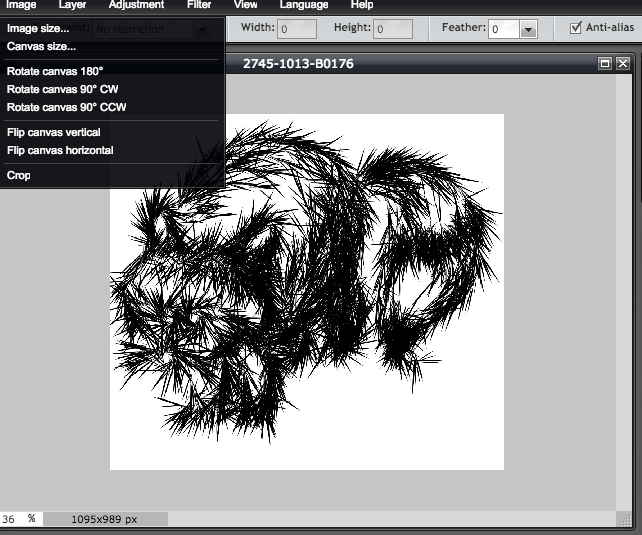 Comment recadrer et faire pivoter une image dans Pixlr