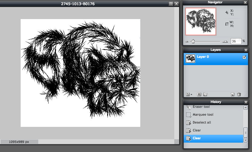 Comment recadrer et faire pivoter une image dans Pixlr