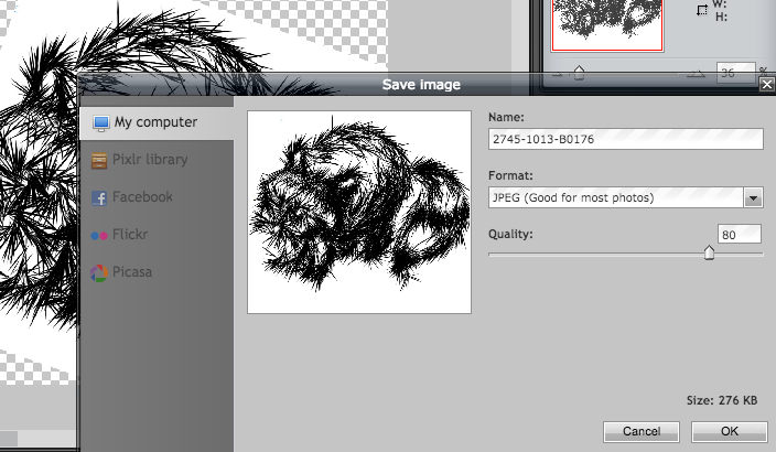 Comment recadrer et faire pivoter une image dans Pixlr