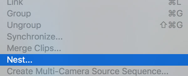 1638863787 93 Comment flouter une video dans Adobe Premiere Pro