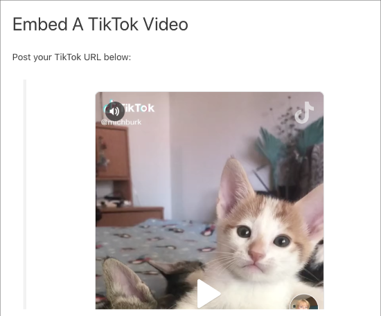 Vidéo TikTok intégrée - Themelocal Vidéo TikTok intégrée