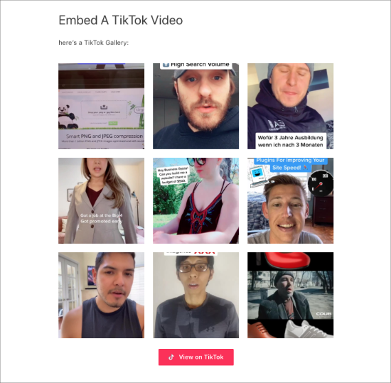 Galerie TikTok dans la page - Themelocal Galerie TikTok dans la page