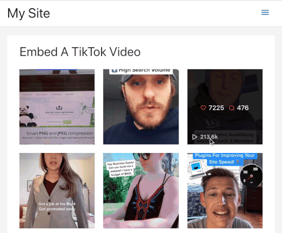 TikTok Popup - Themelocal Pop-up TikTok