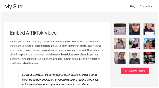 Barre latérale TikTok Siteview - Themelocal Vue du site TikTok de la barre latérale