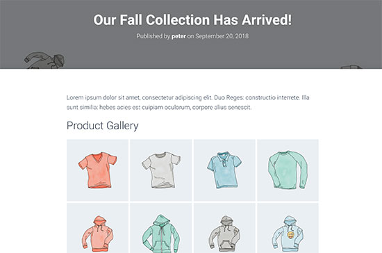 Aperçu de la galerie de produits WooCommerce - Themelocal Aperçu de la galerie de produits WooCommerce