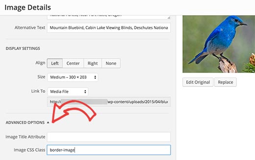 Ajouter une classe CSS à une image dans WordPress - Themelocal Ajouter une classe CSS à une image dans WordPress