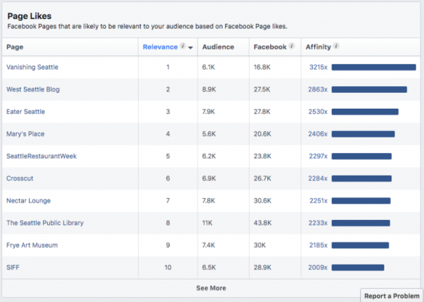 Aperçu de l'audience Facebook par page j'aime