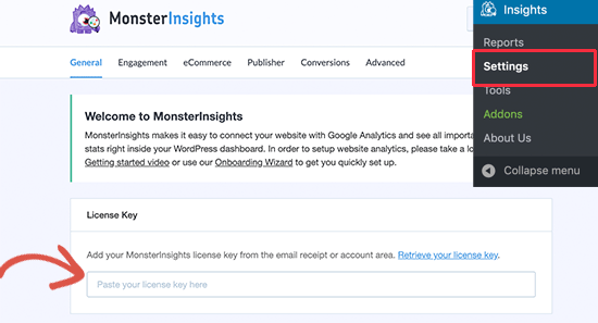 Clé de licence MonsterInsights - Themelocal Clé de licence MonsterInsights
