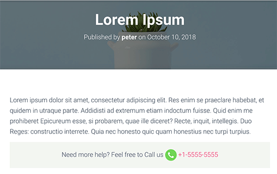 Cliquez pour appeler le bouton avec plus de texte et de style CSS - Themelocal Cliquez pour appeler le bouton avec plus de texte et de style CSS