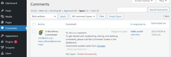 Commentaires indésirables dans WordPress - Themelocal Commentaires indésirables dans WordPress