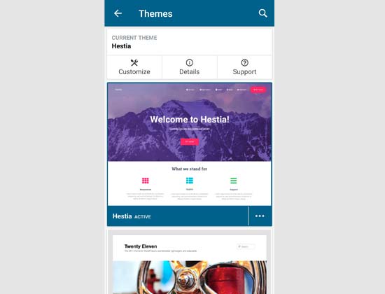 Gestion des thèmes WordPress via l'application - Themelocal Gestion des thèmes WordPress via l'application