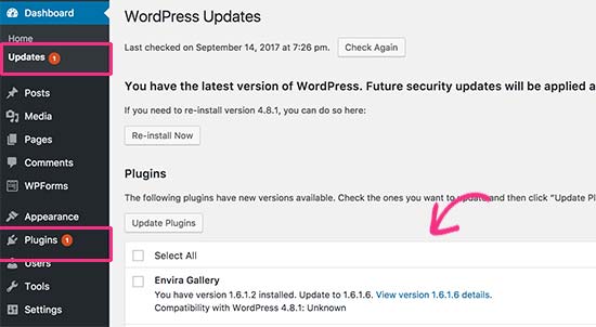 Mise à jour du plugin WordPress disponible - Themelocal Mise à jour du plugin WordPress disponible