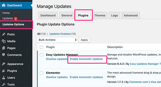 Mise à jour automatique des plugins sélectionnés - Themelocal Mettre à jour automatiquement les plugins sélectionnés