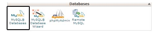 Base de données cPanel - Themelocal Base de données cPanel