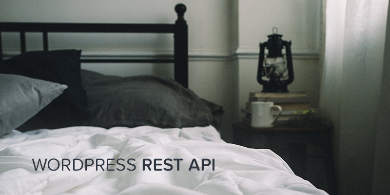 1640037382 API WordPress WP REST ce que cela signifie pour vous