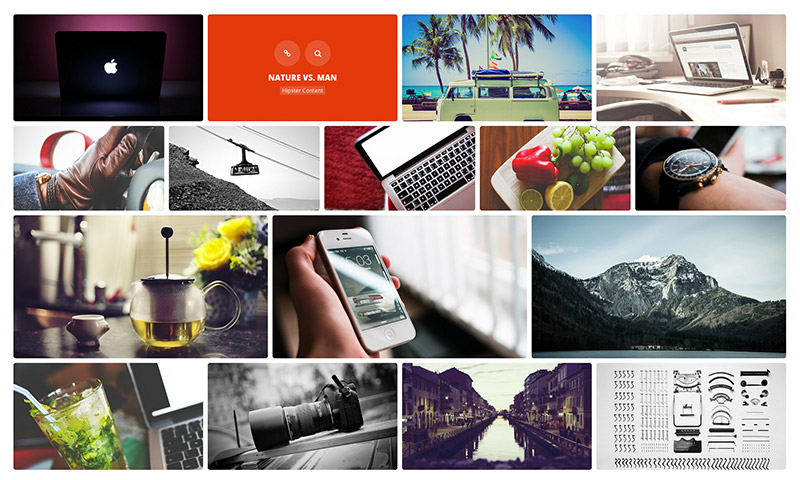 plugin wordpress de portefeuille de grille essentiel