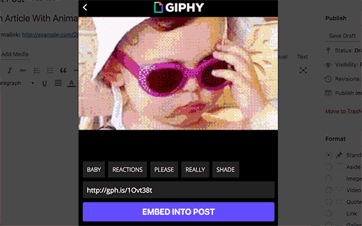 Intégrer Giphy - Themelocal Intégrer Giphy