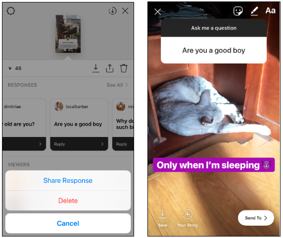 Capture d'écran de l'autocollant Questions Instagram