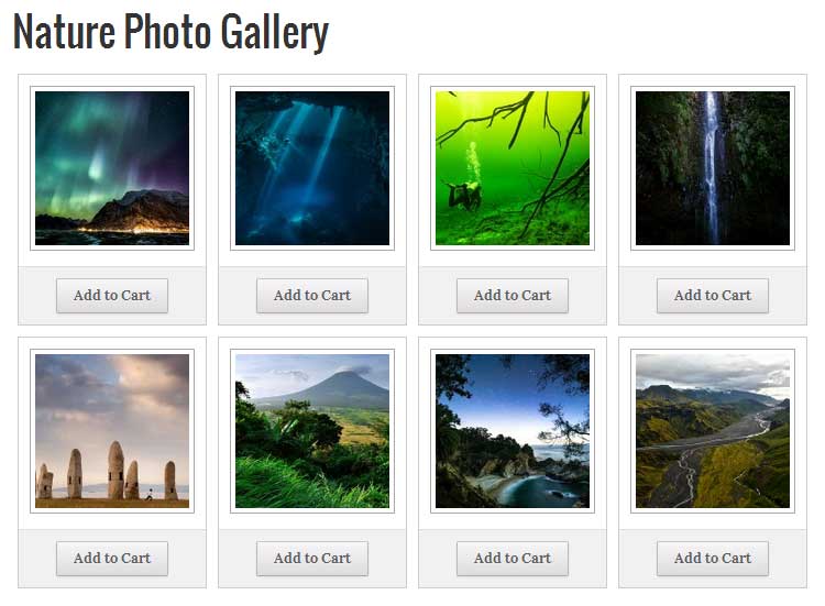 Exemple de galerie de photos de vente