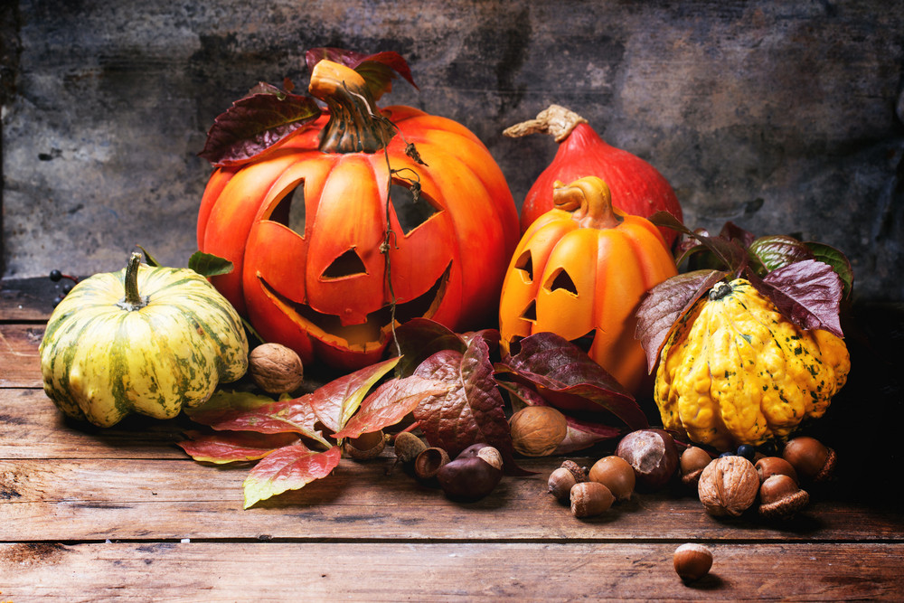 Vidéos de stock d'Halloween