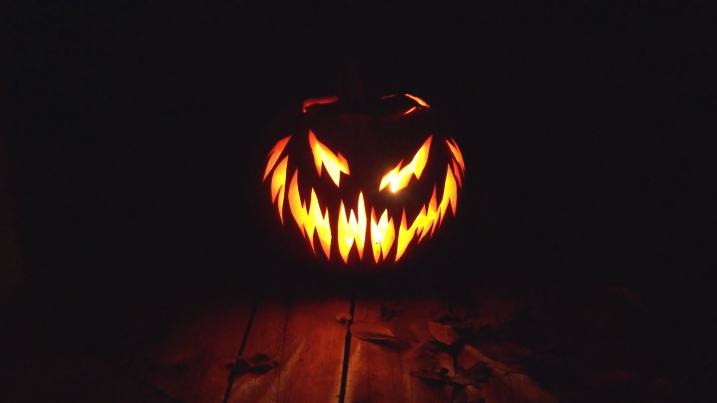 1640797725 Notre boite a outils pour les collections dHalloween
