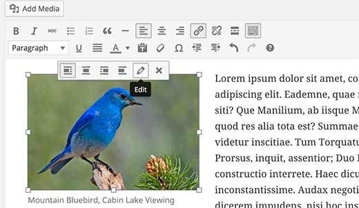 Modifier une image dans WordPress - Themelocal Modifier une image dans WordPress
