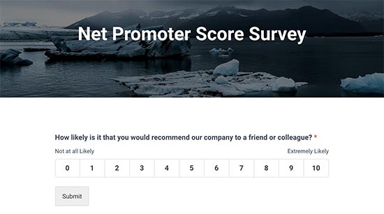 Aperçu de l'enquête Net Promoter Score - Themelocal Aperçu de l'enquête Net Promoter Score