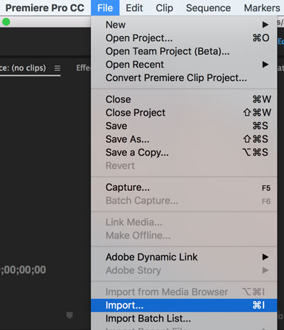 Comment flouter une video dans Adobe Premiere Pro